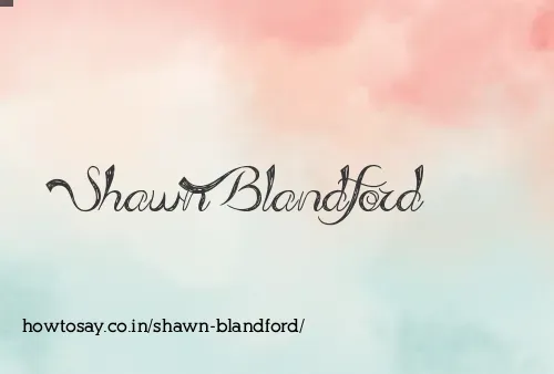 Shawn Blandford