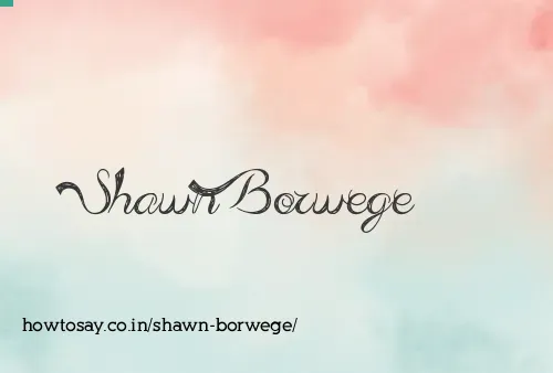 Shawn Borwege