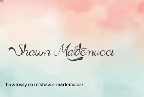 Shawn Martemucci