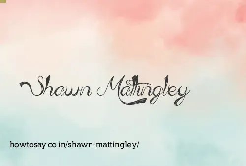 Shawn Mattingley