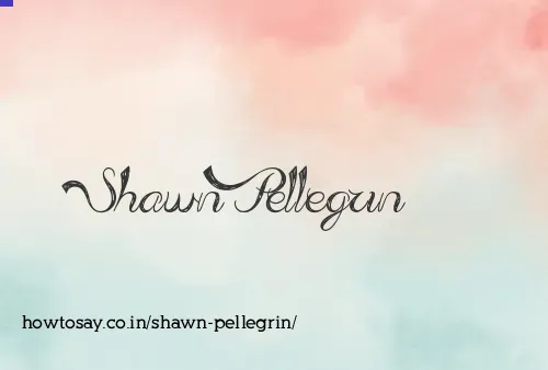 Shawn Pellegrin