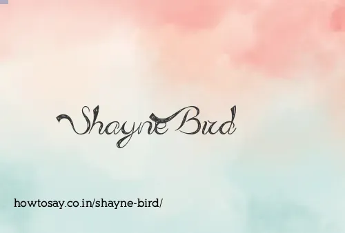 Shayne Bird
