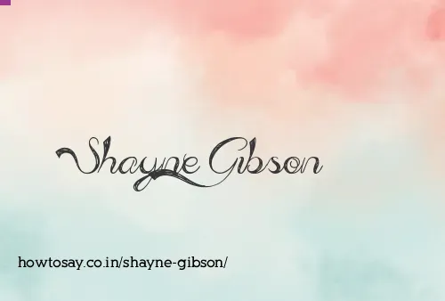 Shayne Gibson