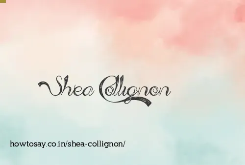Shea Collignon