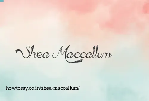 Shea Maccallum