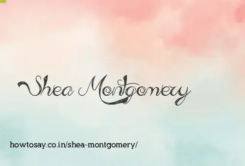 Shea Montgomery