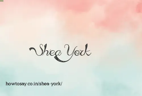 Shea York