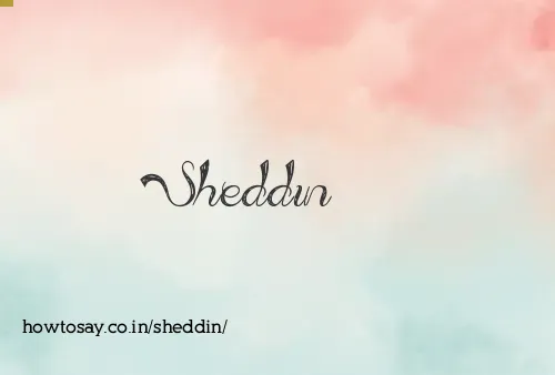 Sheddin