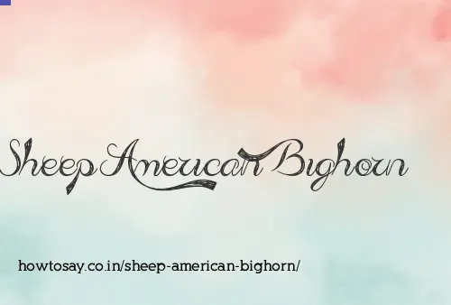 Sheep American Bighorn