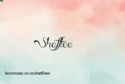 Shefflee
