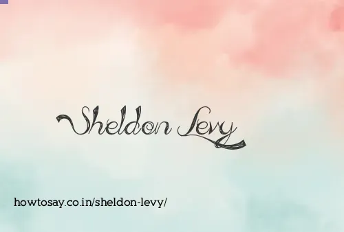 Sheldon Levy