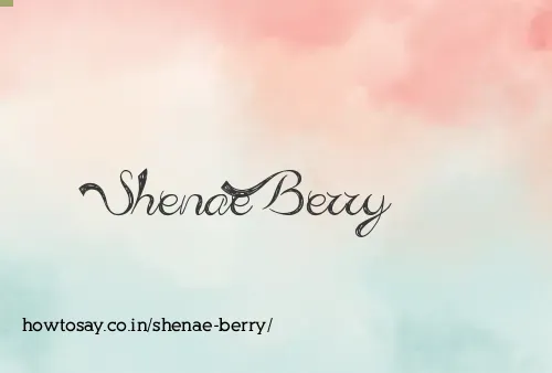 Shenae Berry