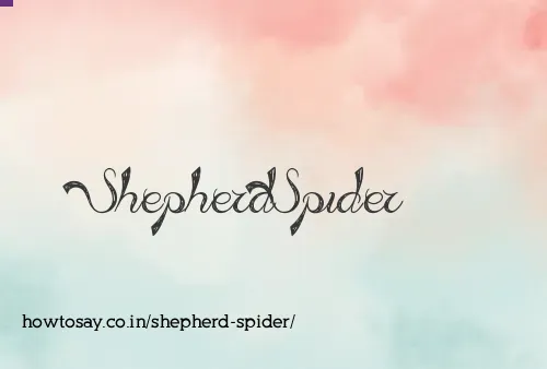 Shepherd Spider