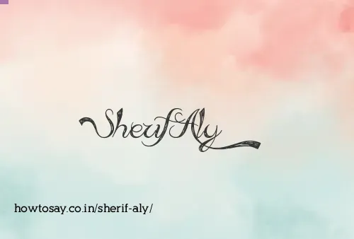 Sherif Aly