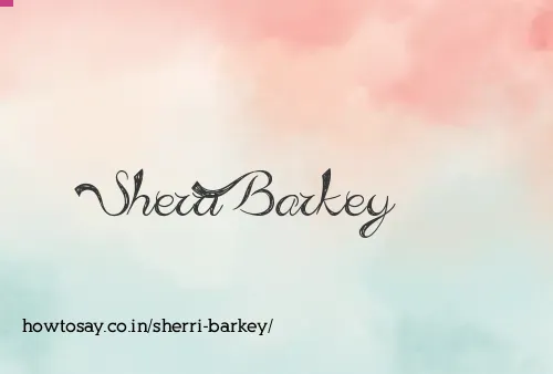 Sherri Barkey