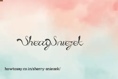 Sherry Sniezek