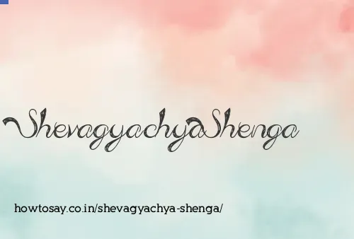 Shevagyachya Shenga