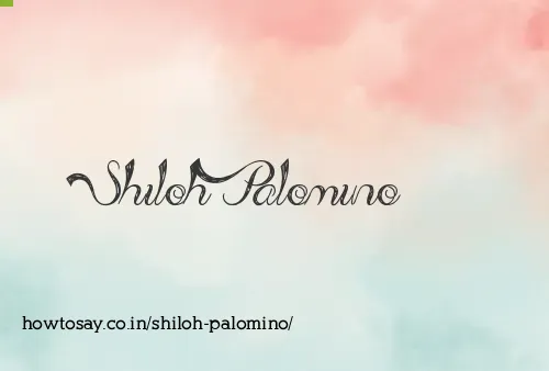 Shiloh Palomino