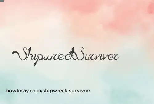 Shipwreck Survivor