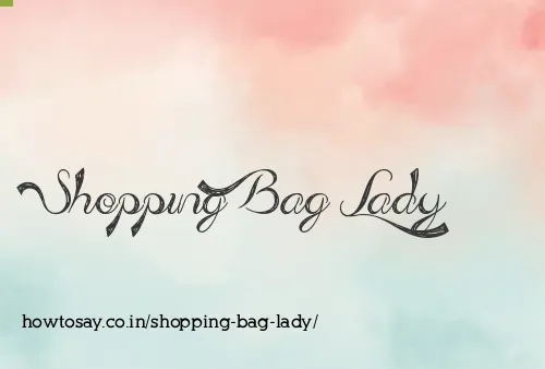 Shopping Bag Lady