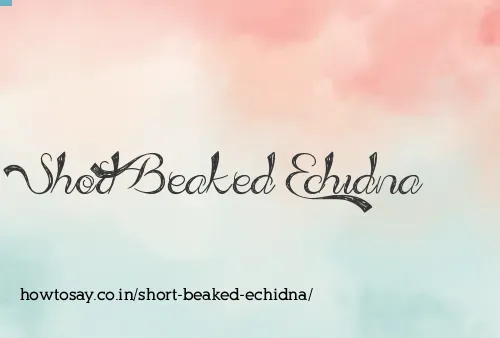 Short Beaked Echidna