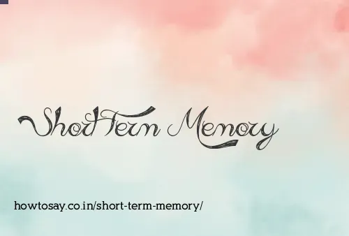 Short Term Memory