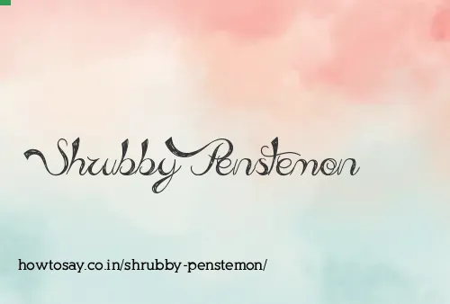 Shrubby Penstemon