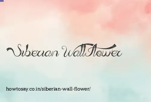 Siberian Wall Flower