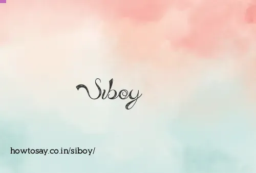 Siboy
