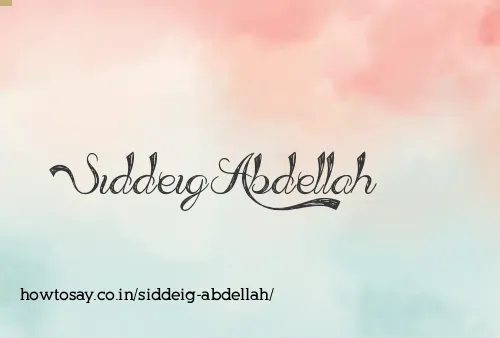 Siddeig Abdellah