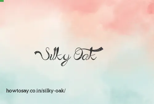 Silky Oak