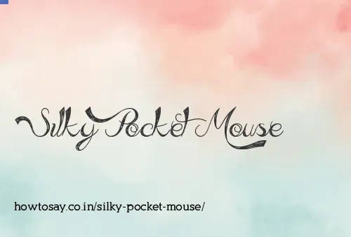 Silky Pocket Mouse