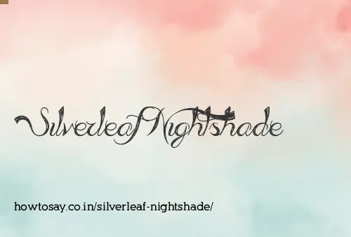 Silverleaf Nightshade