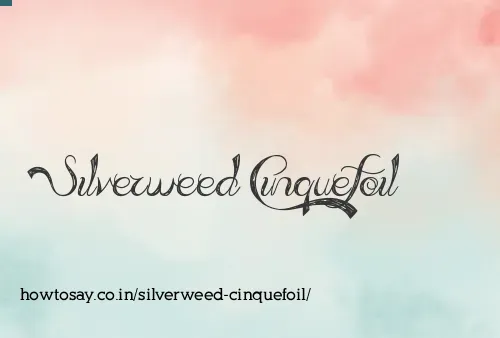 Silverweed Cinquefoil