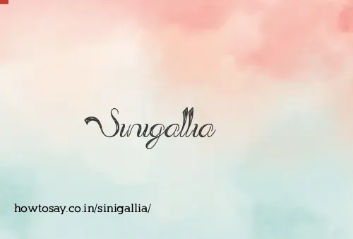 Sinigallia