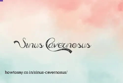 Sinus Cavernosus