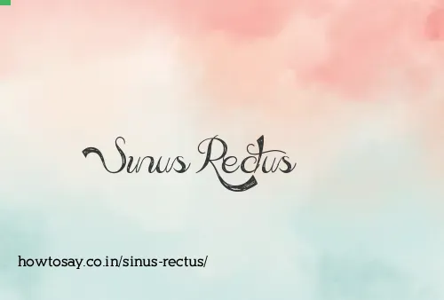 Sinus Rectus