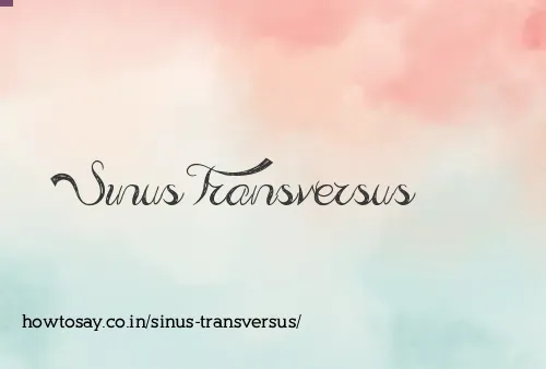Sinus Transversus
