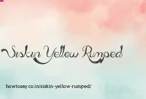 Siskin Yellow Rumped