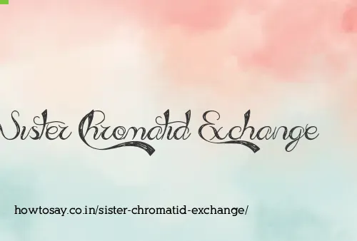 Sister Chromatid Exchange