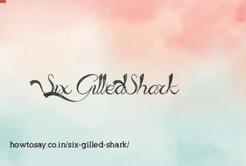 Six Gilled Shark
