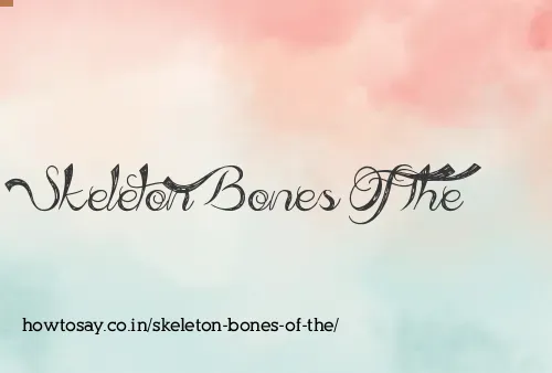 Skeleton Bones Of The