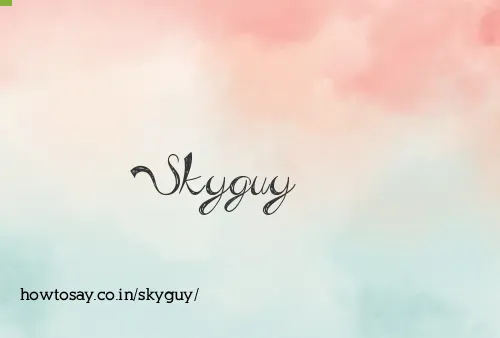 Skyguy