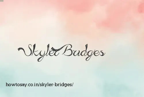 Skyler Bridges