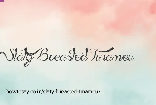 Slaty Breasted Tinamou