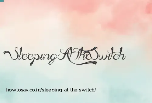 Sleeping At The Switch