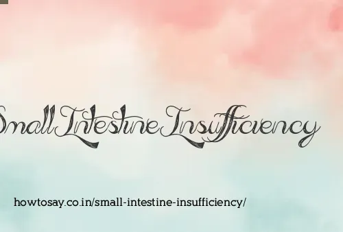 Small Intestine Insufficiency