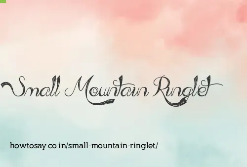 Small Mountain Ringlet
