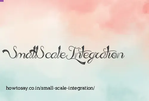 Small Scale Integration