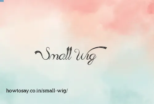 Small Wig